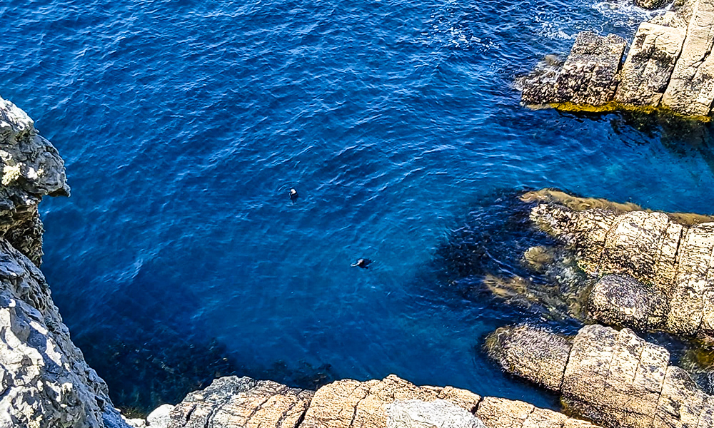 camping bord de mer finistere